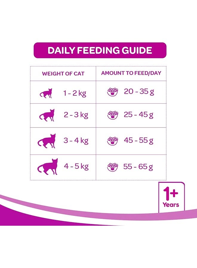 ويسكاس طعام جاف للقطط البالغة بنكهة أسماك المحيط - 1.2 كجم - Image 4